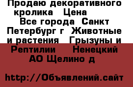 Продаю декоративного кролика › Цена ­ 500 - Все города, Санкт-Петербург г. Животные и растения » Грызуны и Рептилии   . Ненецкий АО,Щелино д.